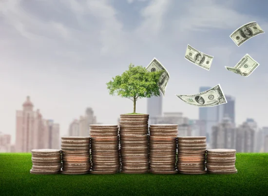 money-growth-saving-money-upper-tree-coins-shown-concept-growing-business_521621-108